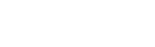 Logo_Faun data systemes